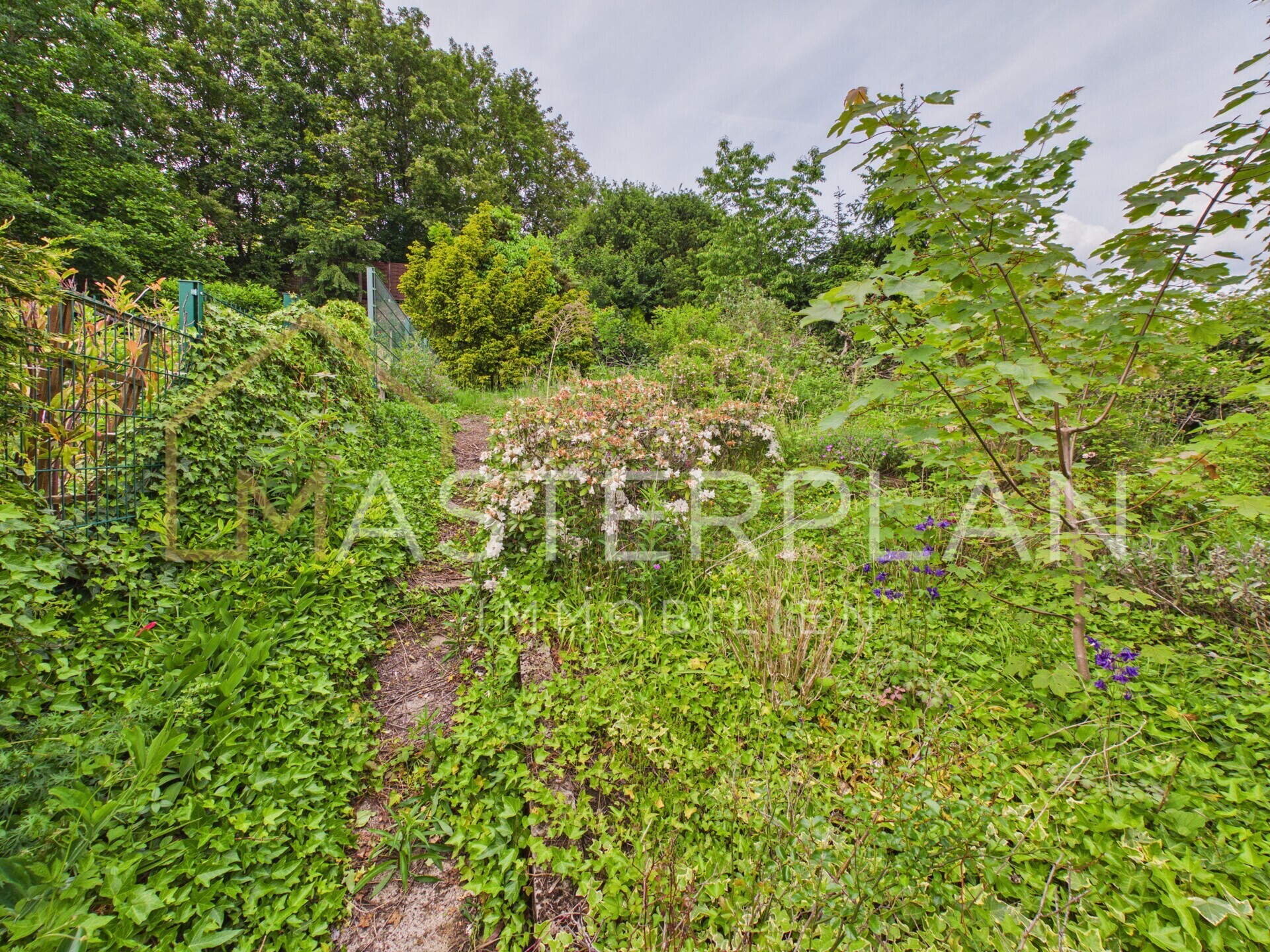 Garten 1