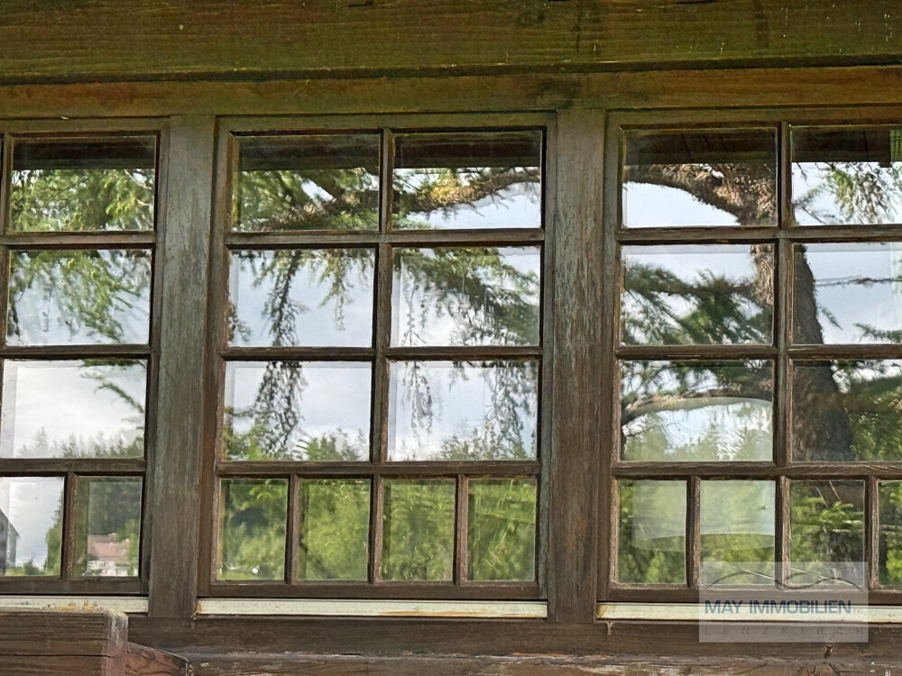 Die Natur im Blick