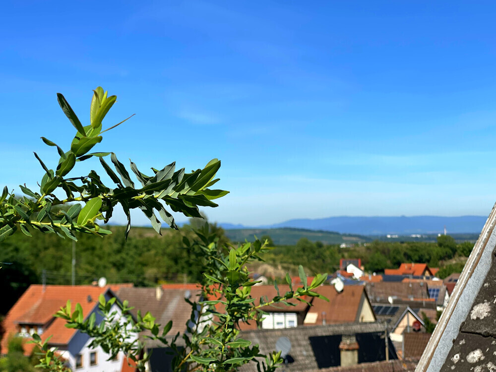 Auf der Dachterrasse kann der Blick schweifen. 