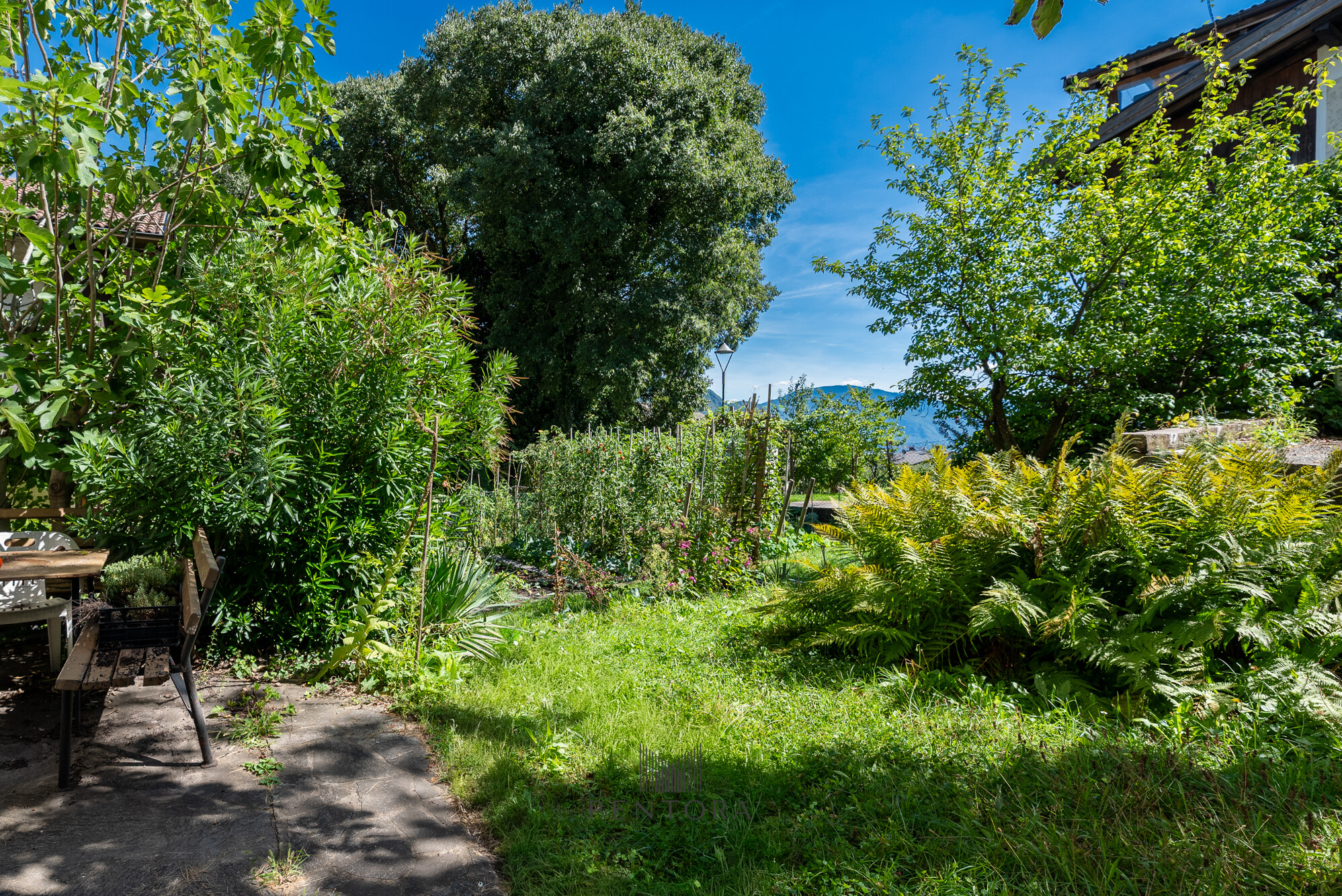 Immobilienbild