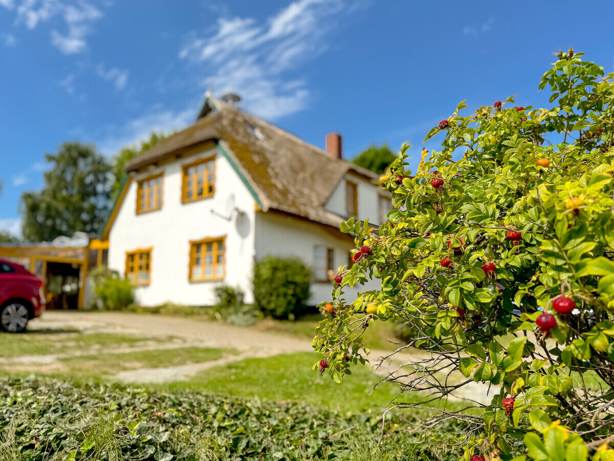 Gepflegte Substanz