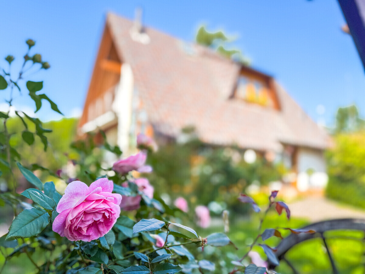 Liebevoll angelegter Garten
