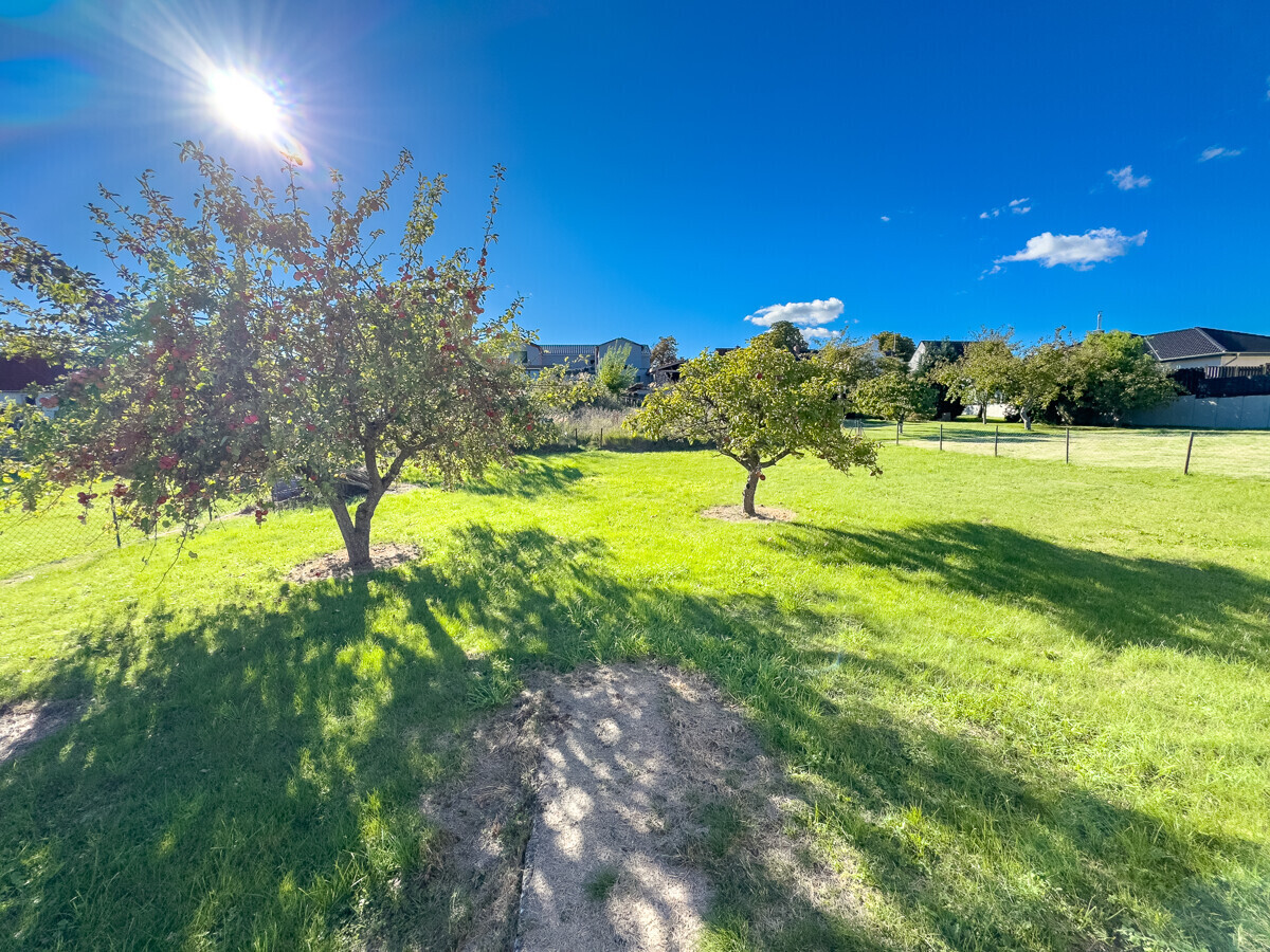  Obstbäume
