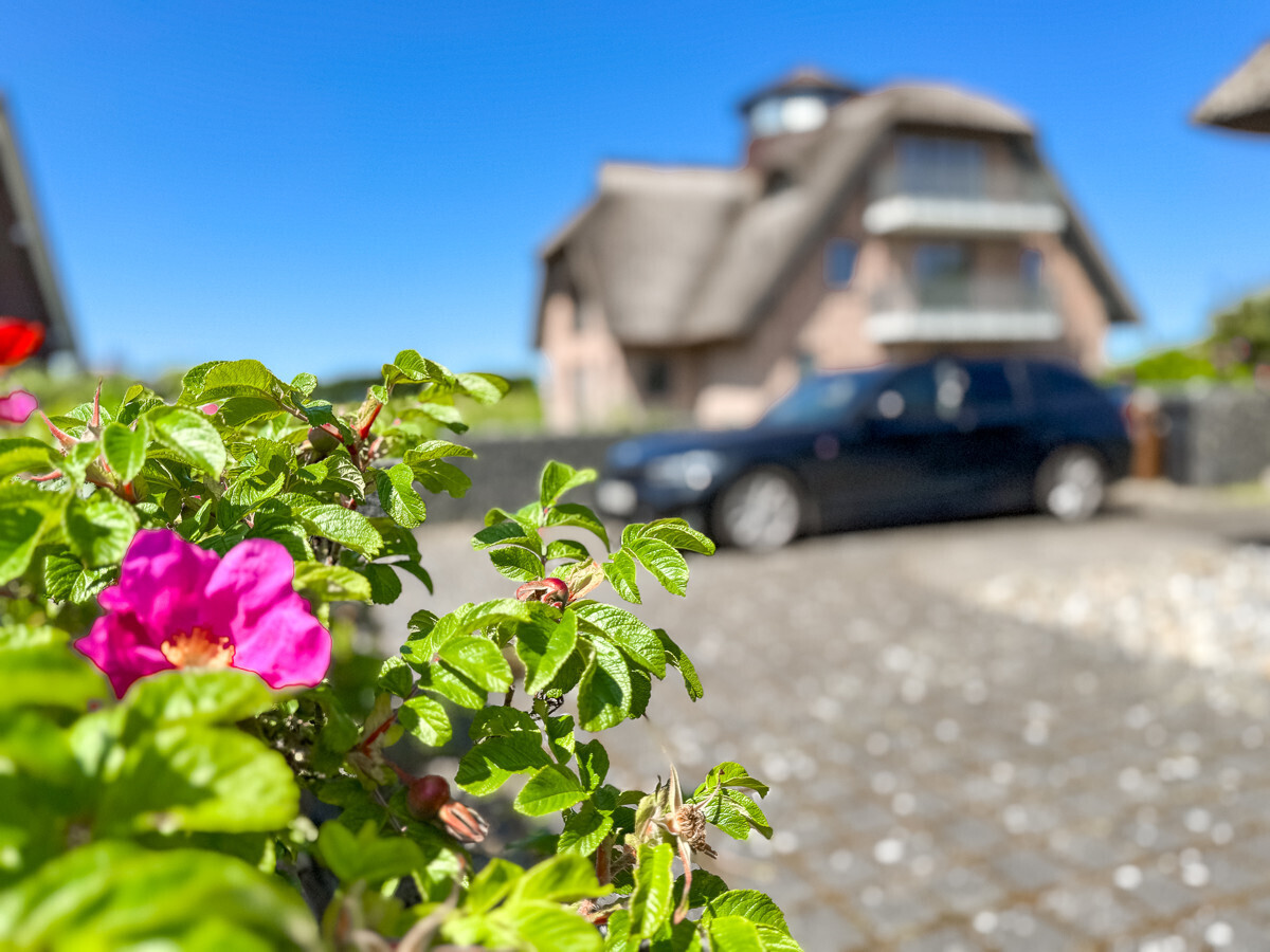 Freiplätze zum Parken direkt vor dem Haus