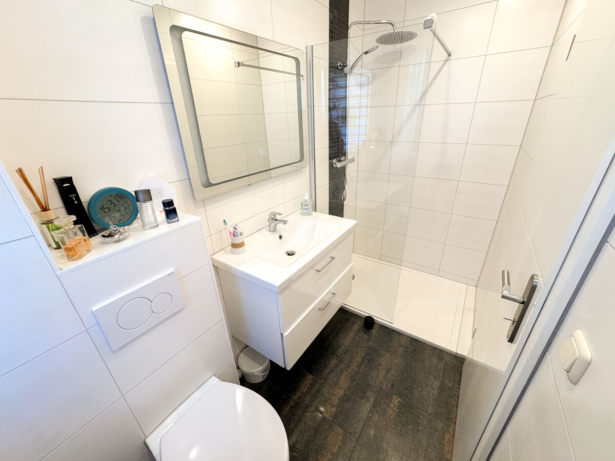 Gäste-WC mit Dusche im Erdgeschoss