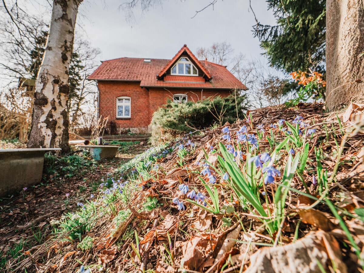 Der Garten wartet auf seine Neugestaltung