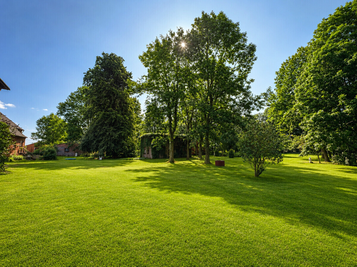 Park mit Schuppen