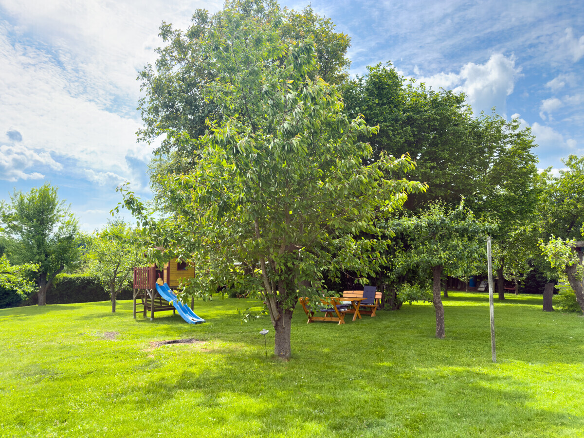 3.555 m² Grundstück