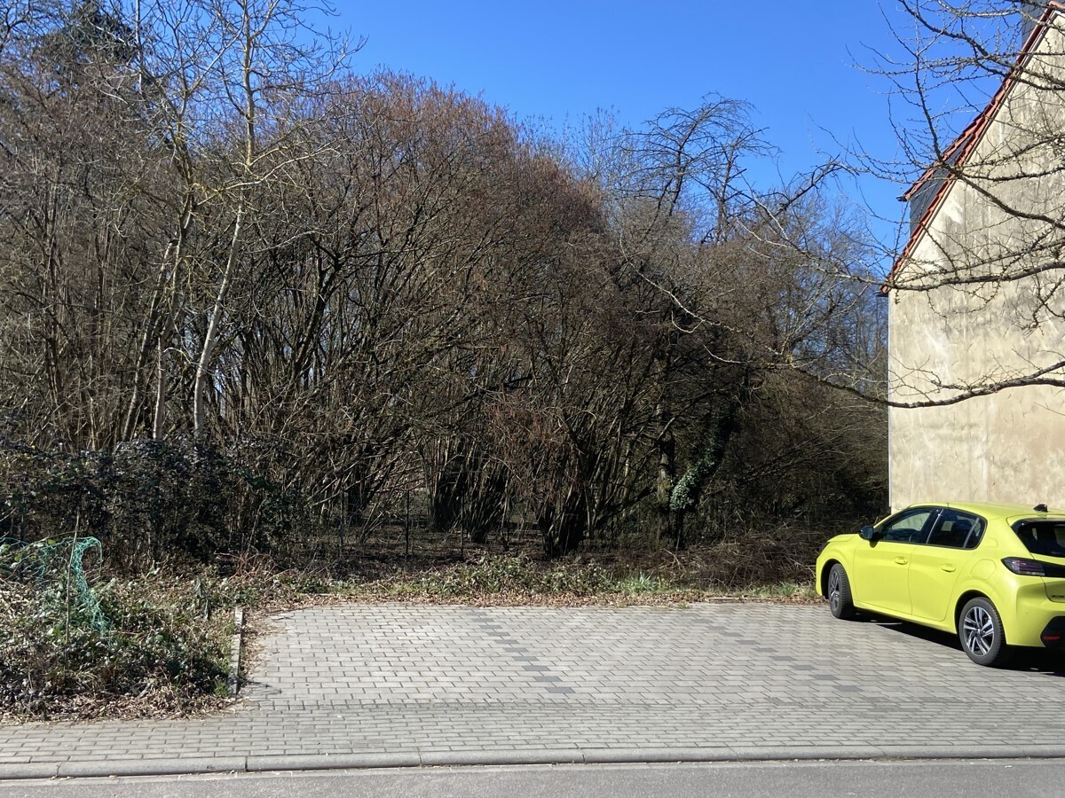 Immobilienbild
