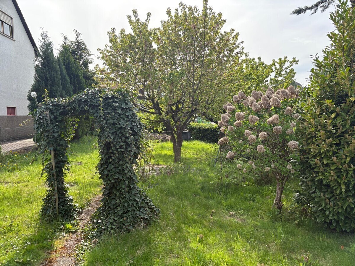 Immobilienbild