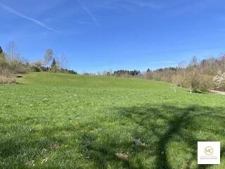 Zeilerfeld 3