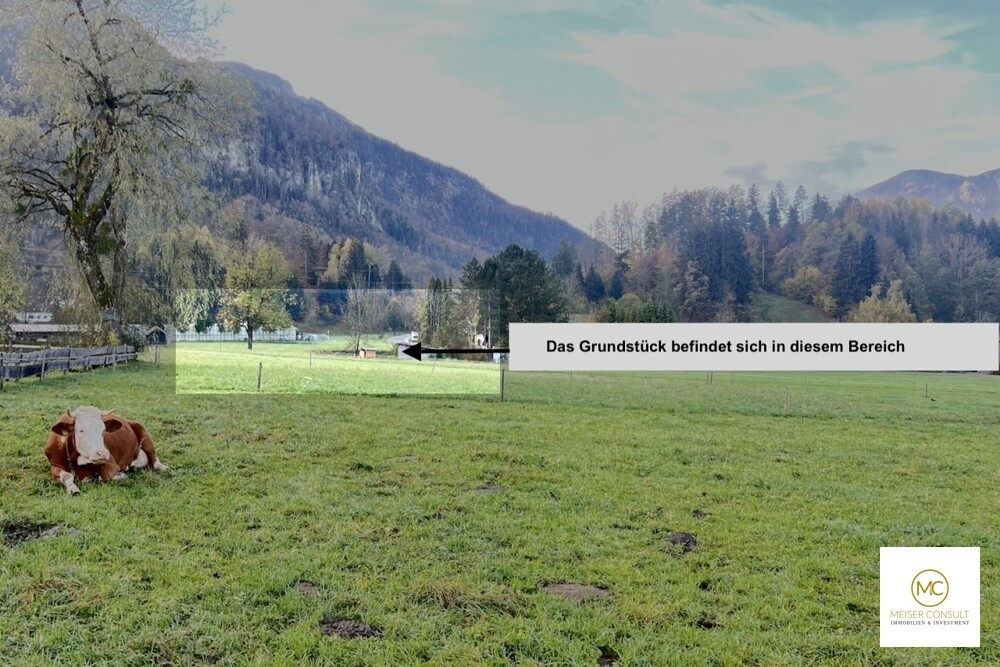 Grundstück Kochel