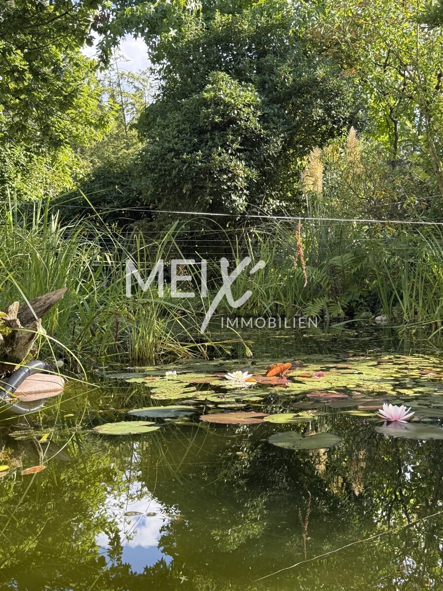 Verträumter Seerosenteich