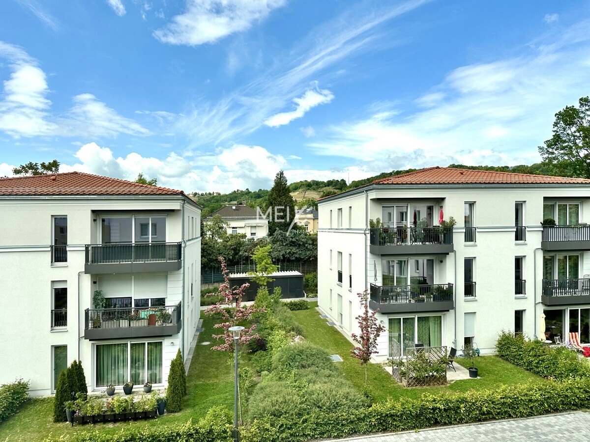 Blick in die fernen Weinberge 