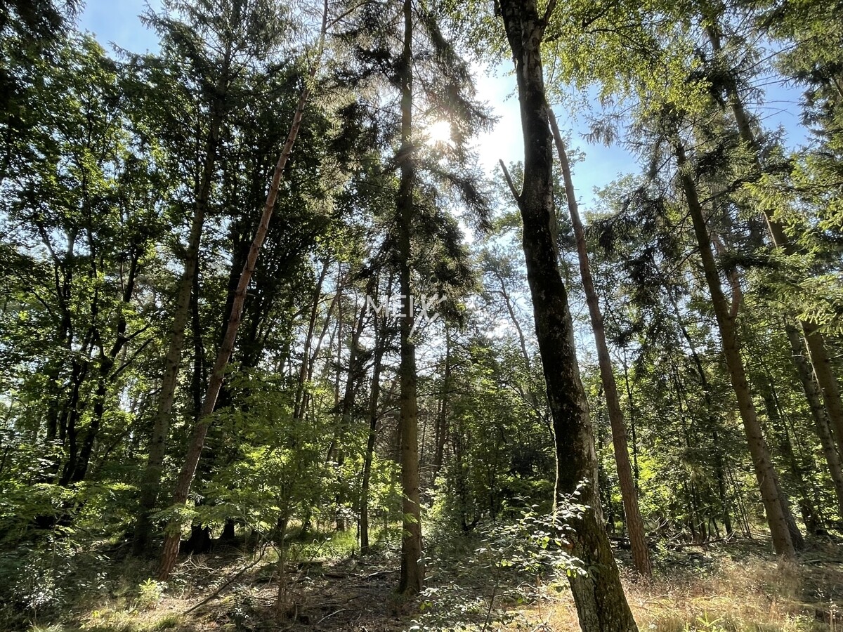 Natur, die nicht perfekt sein muss - sondern echt