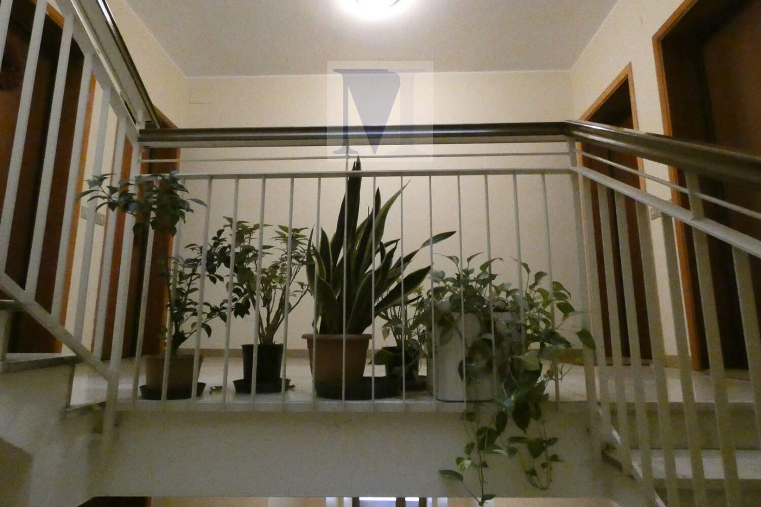 Immagine della proprietà