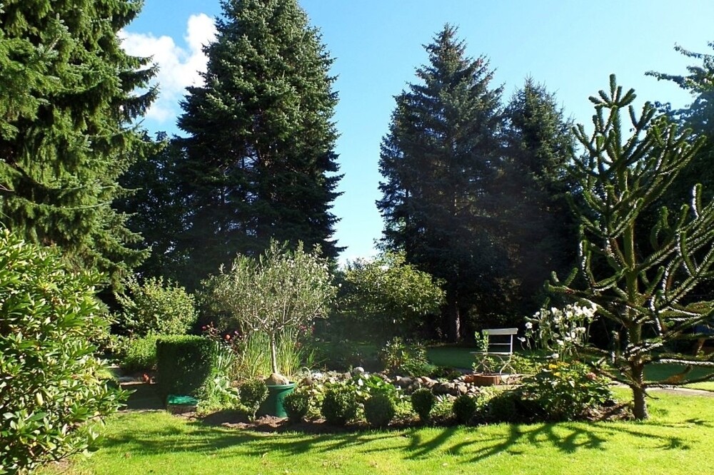 Blick in den Garten.png