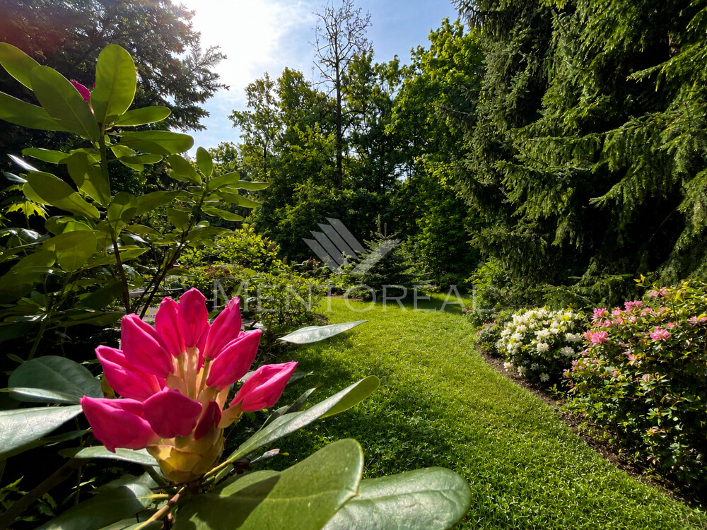 Gartenvision