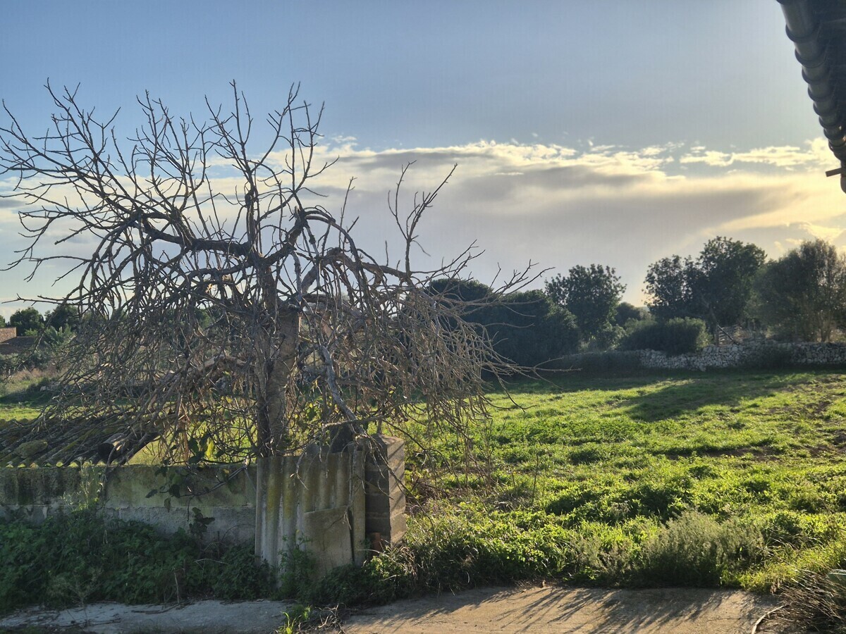 13 Farm exterior