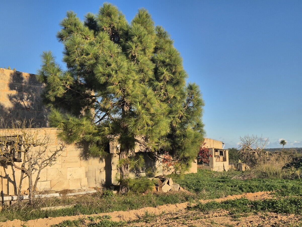 17 Surroundings