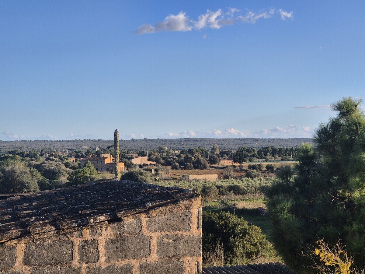22 Terrace views
