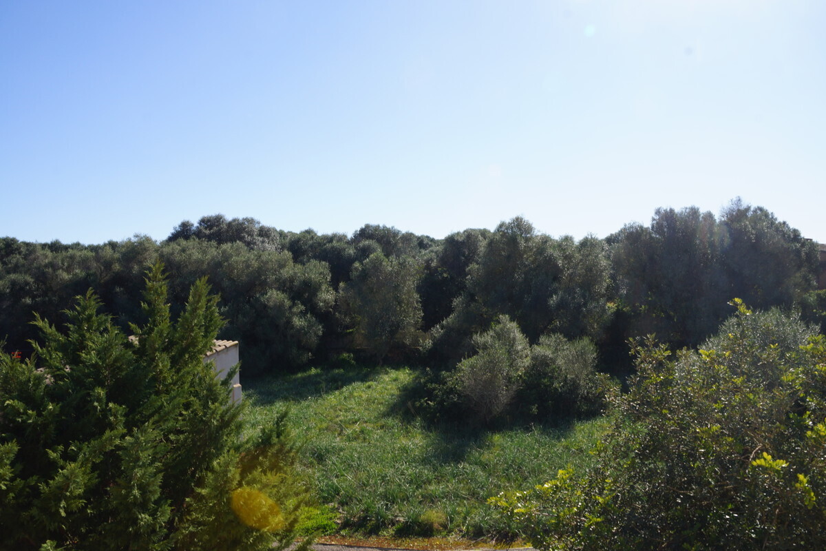 DSC04931