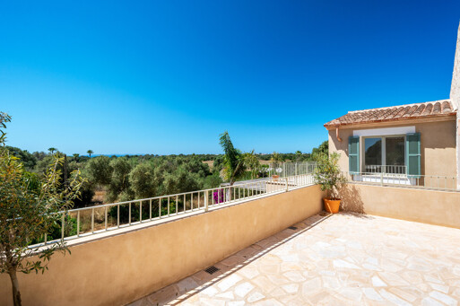 Terraza