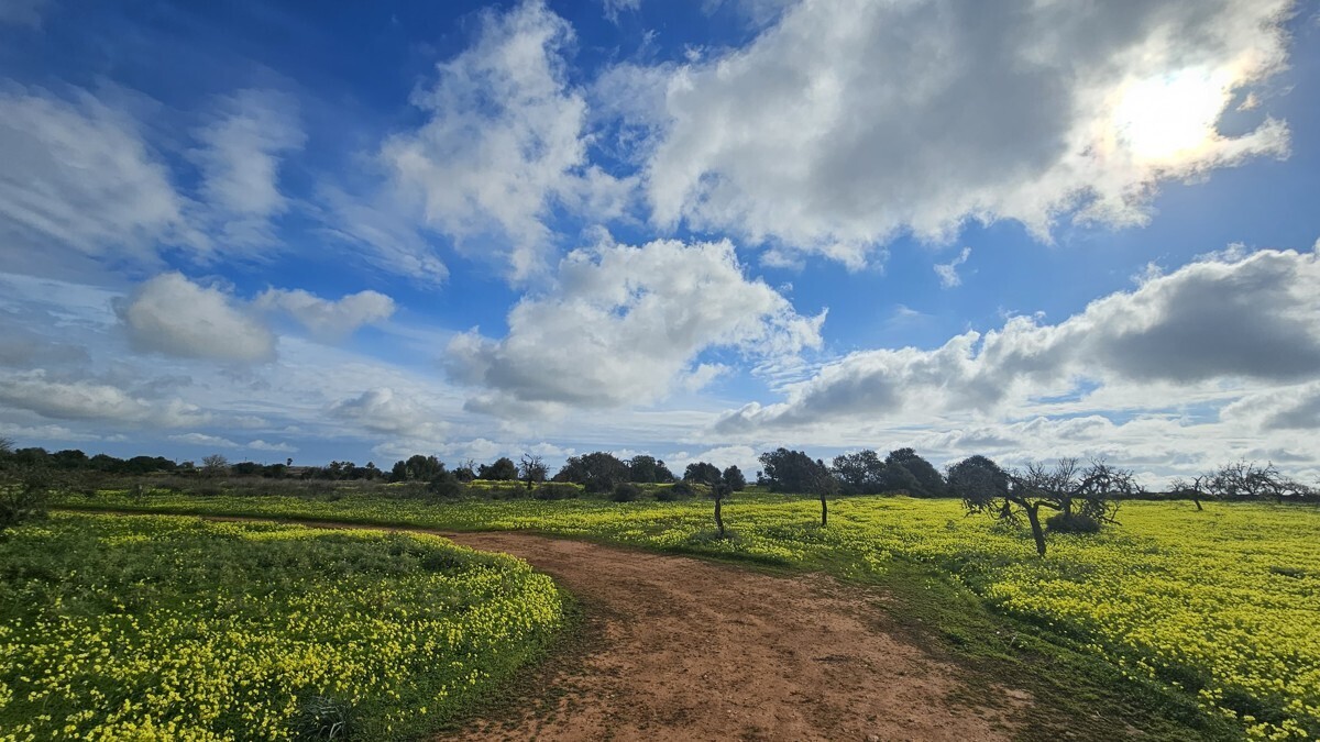 WhatsApp Image 2025-03-14 at 10.53.09 (2)