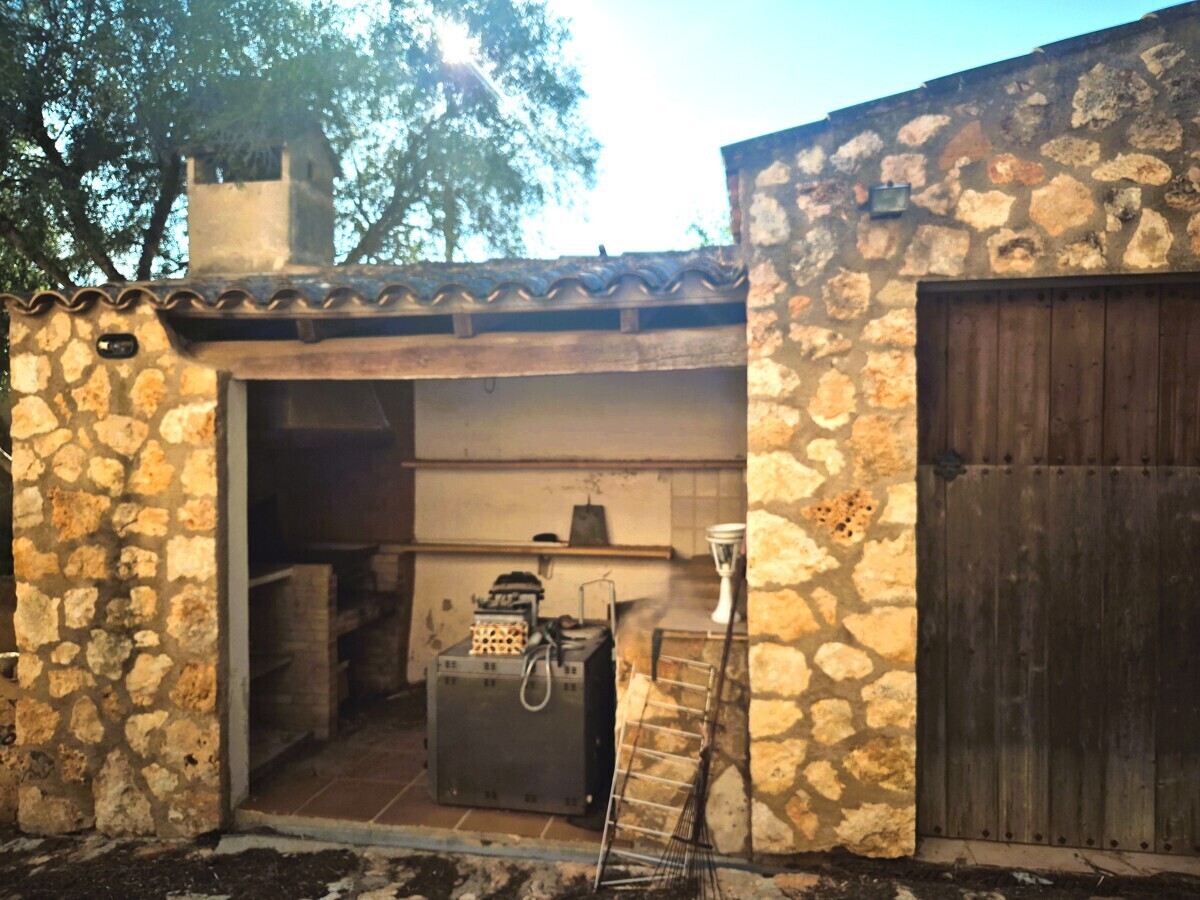 41 BBQ 1