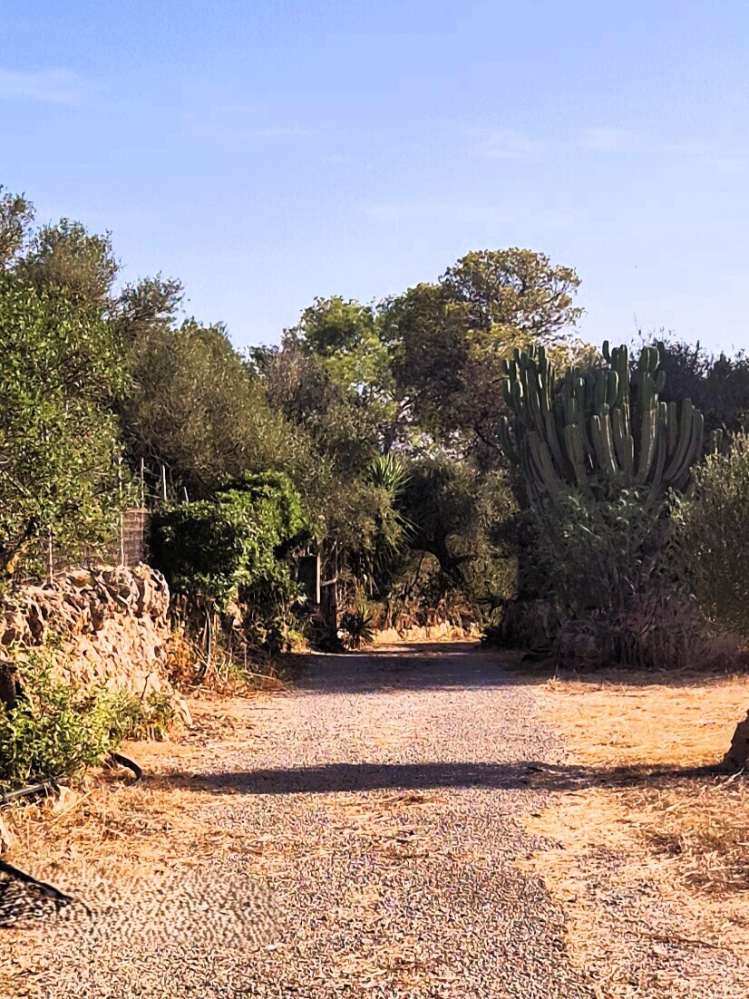 66 Acceso exterior 3