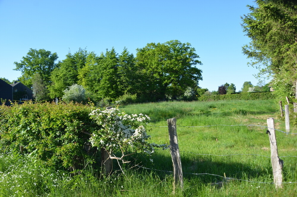 Image immobilière