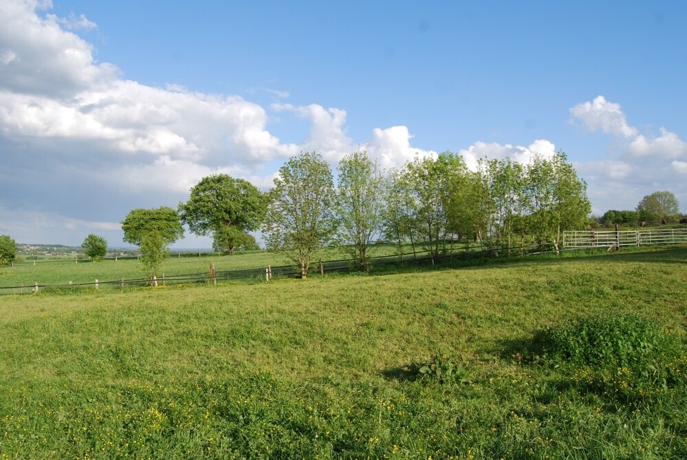 Image immobilière