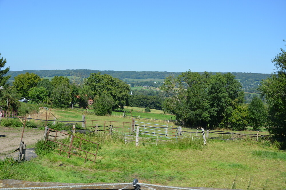 Wiesen