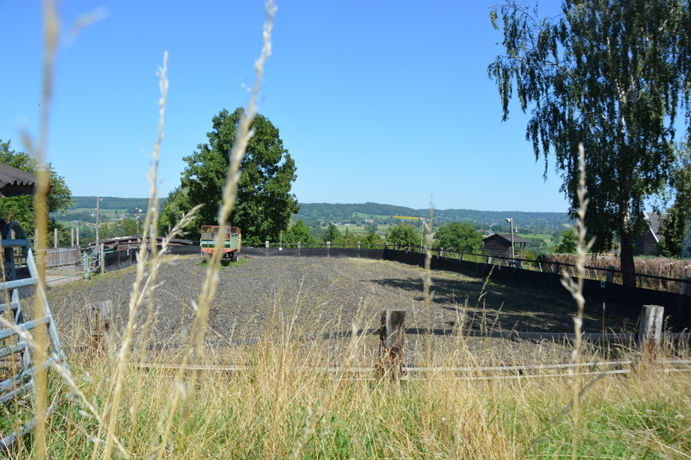 Reitplatz