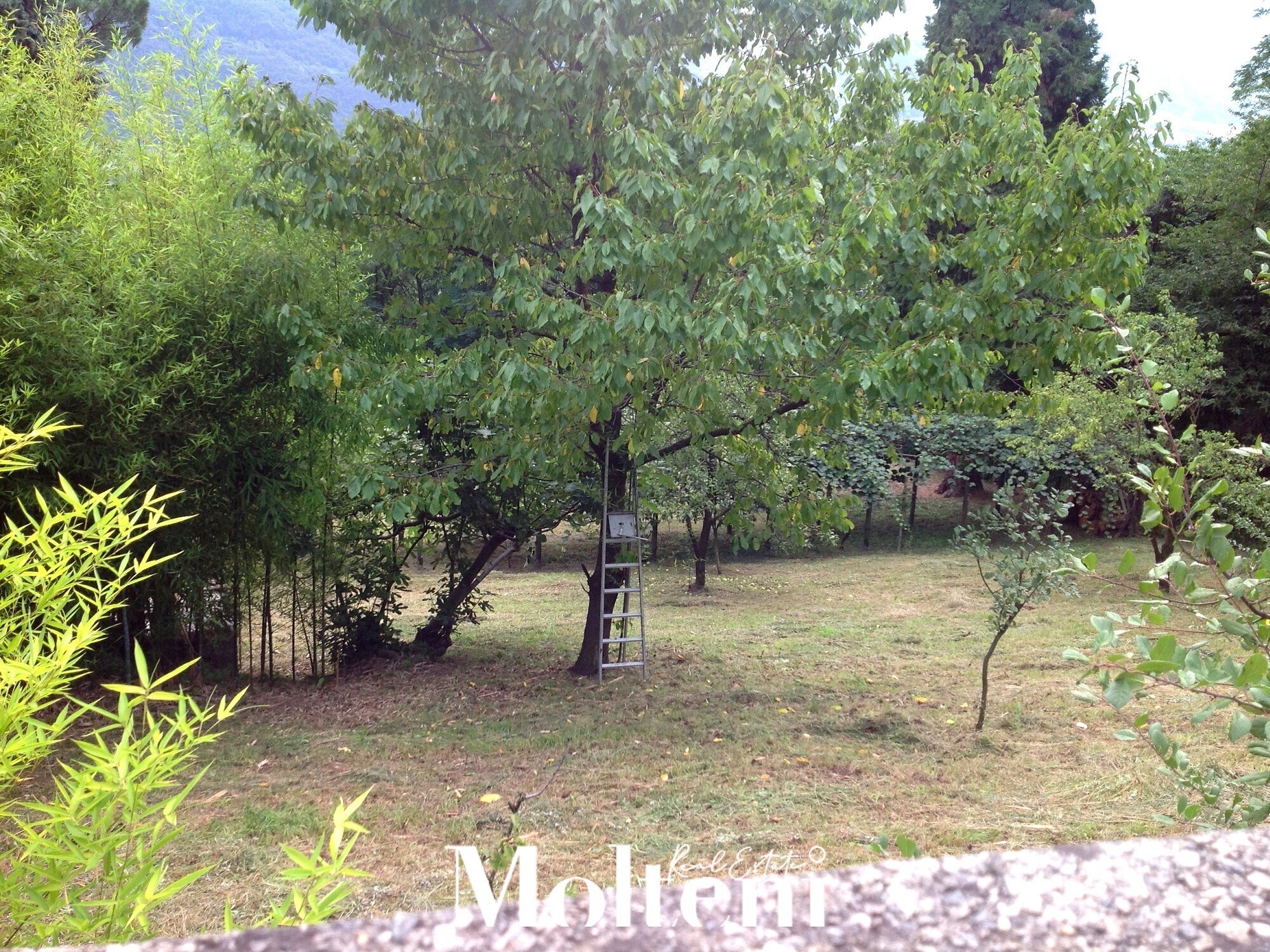 traona-molteni-real-estate (19)