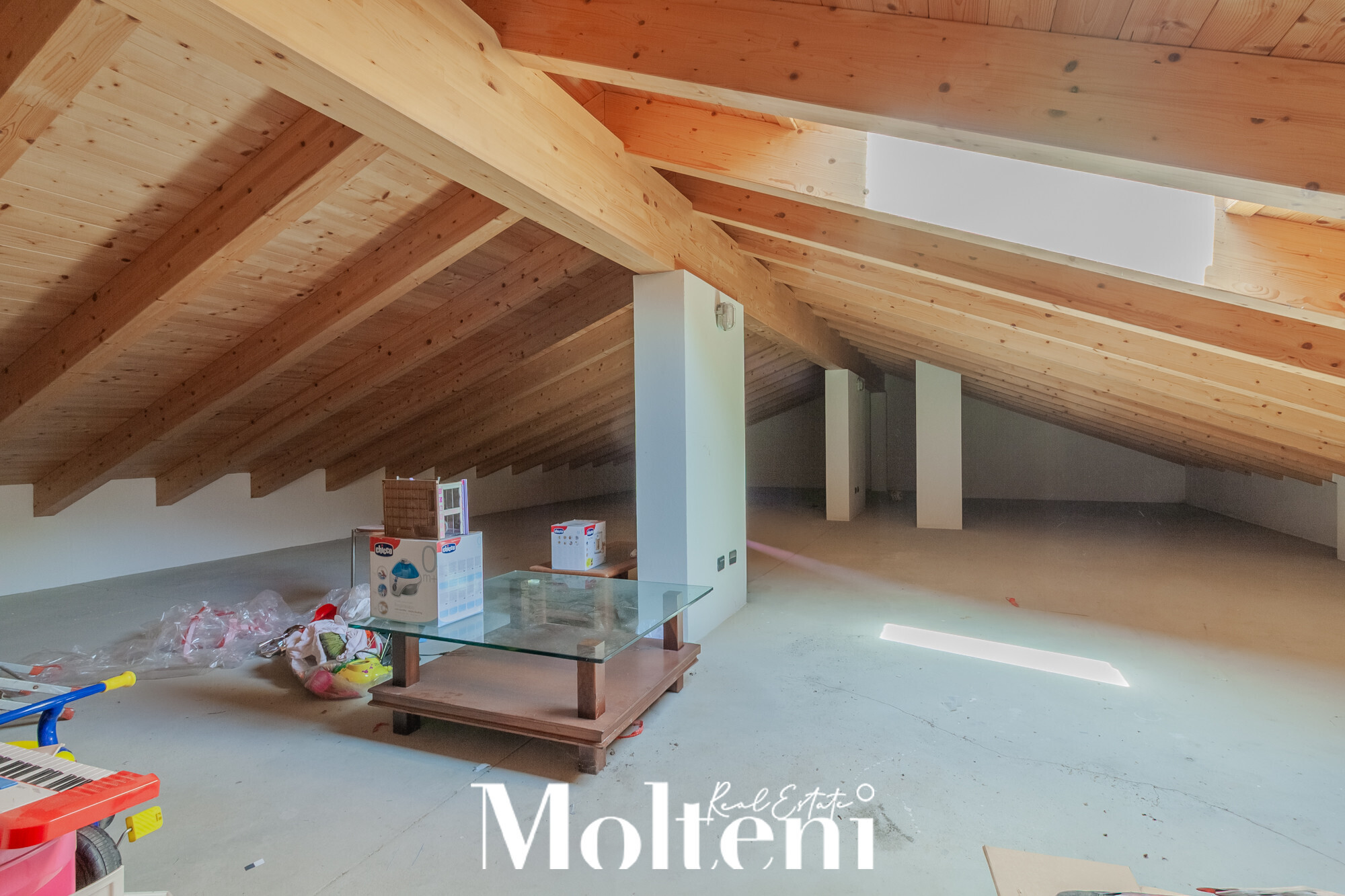 moltenirealestate_villa_mandellodellario_mandello_forsale_vendita_garden_giardino_garage (22)