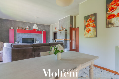 moltenirealestate_villa_mandellodellario_mandello_forsale_vendita_garden_giardino_garage (10)