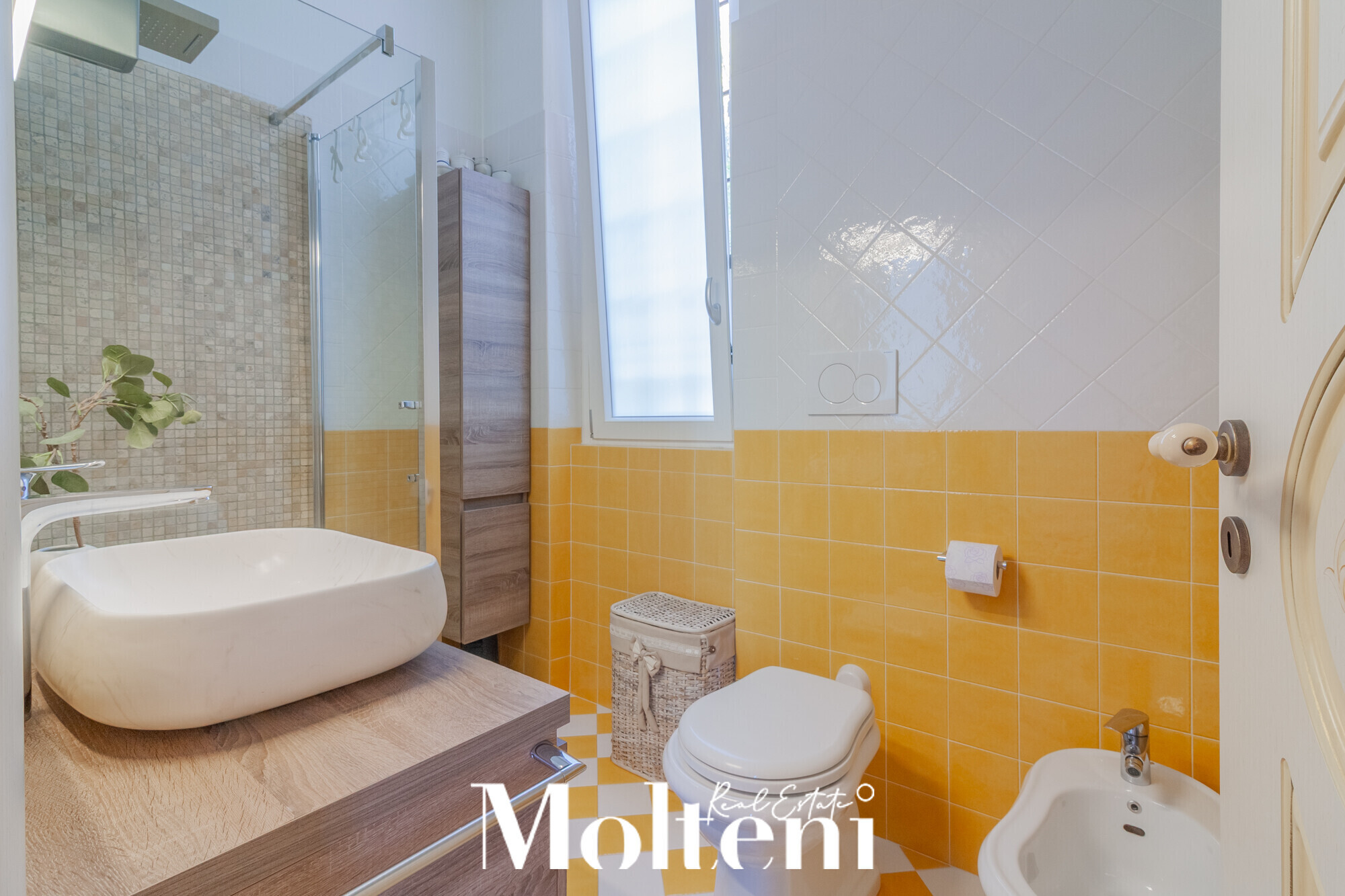 moltenirealestate_villa_abbadialariana_abbadia_forsale_vendita_garden_giardino_garage (18)