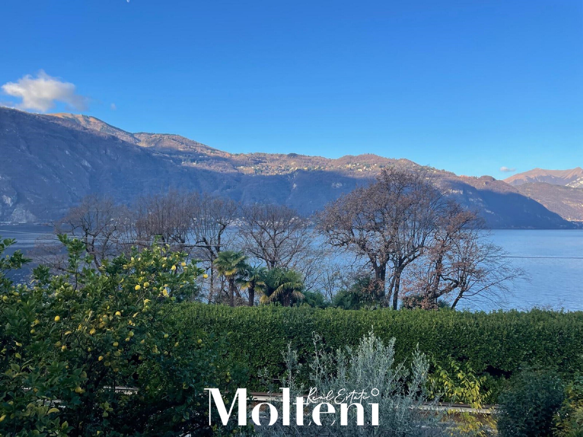 Mandello-appartamento-casa-house-villa-giardino-garden-vistalago-lakeview-vendita-forsale-lakecomo-moltenirealestate-molteniexclusive (3)
