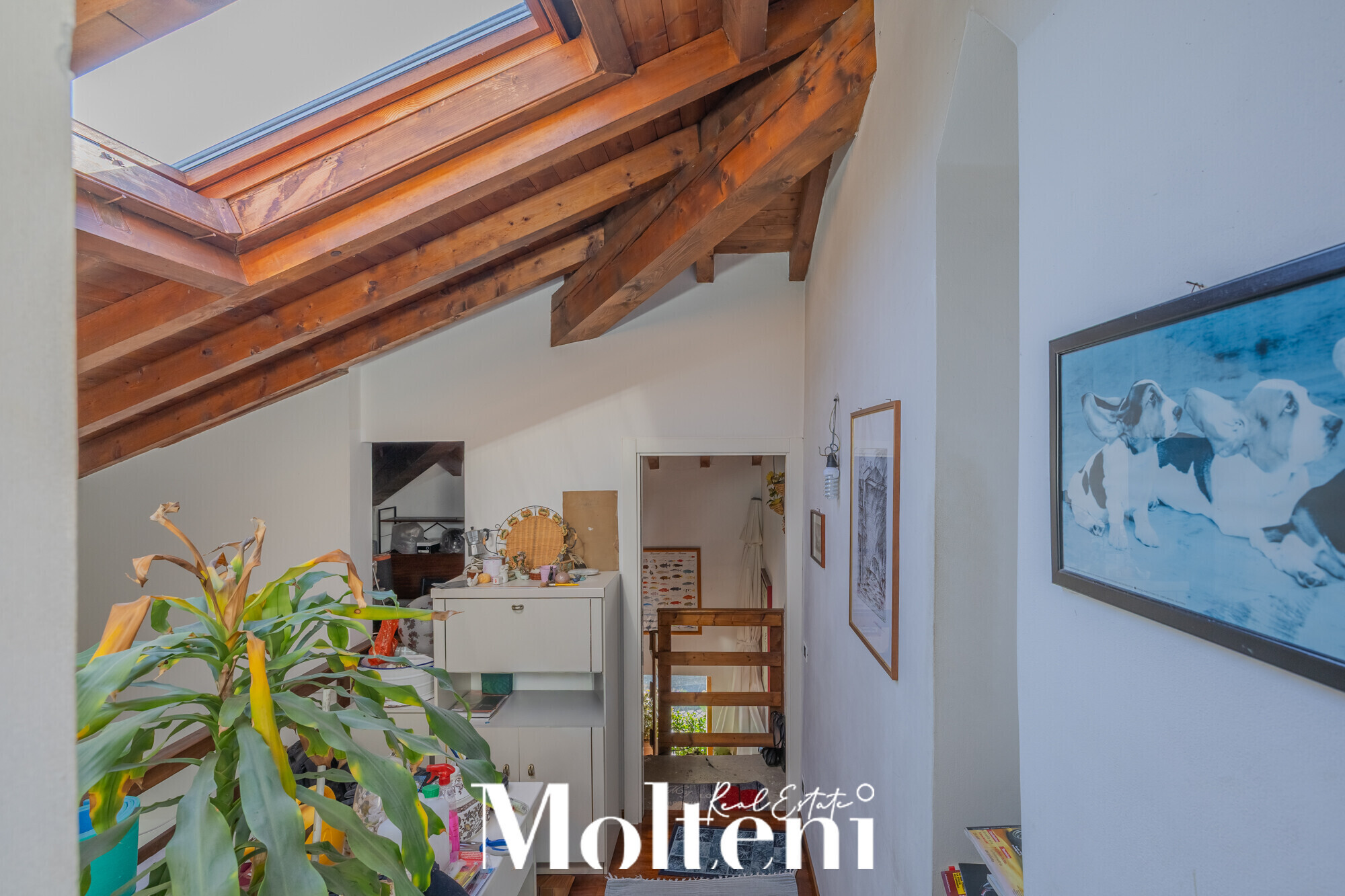 moltenirealestate_casa_house_mandellodellario_forsale_vendita_garden_giardino_terrace_terrazzo (24)