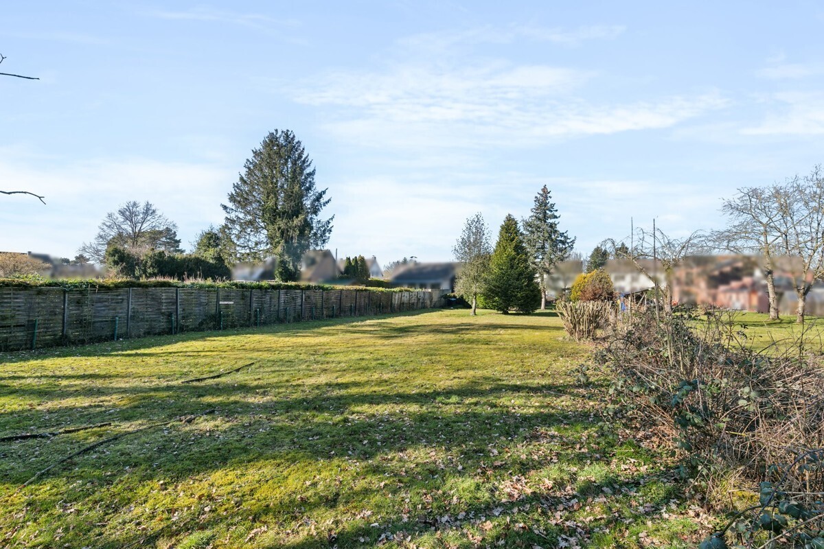 Grundstücks- und Gartenbereich