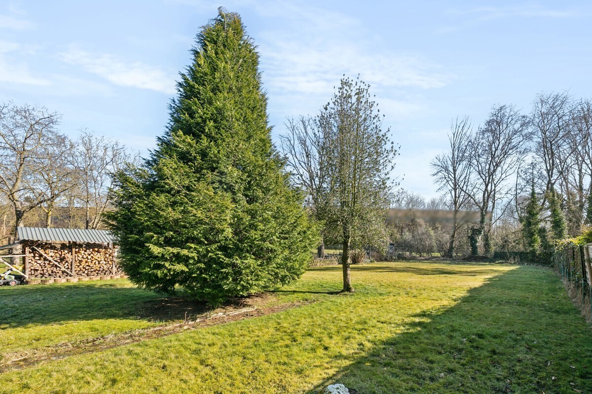 Grundstücks- und Gartenbereich