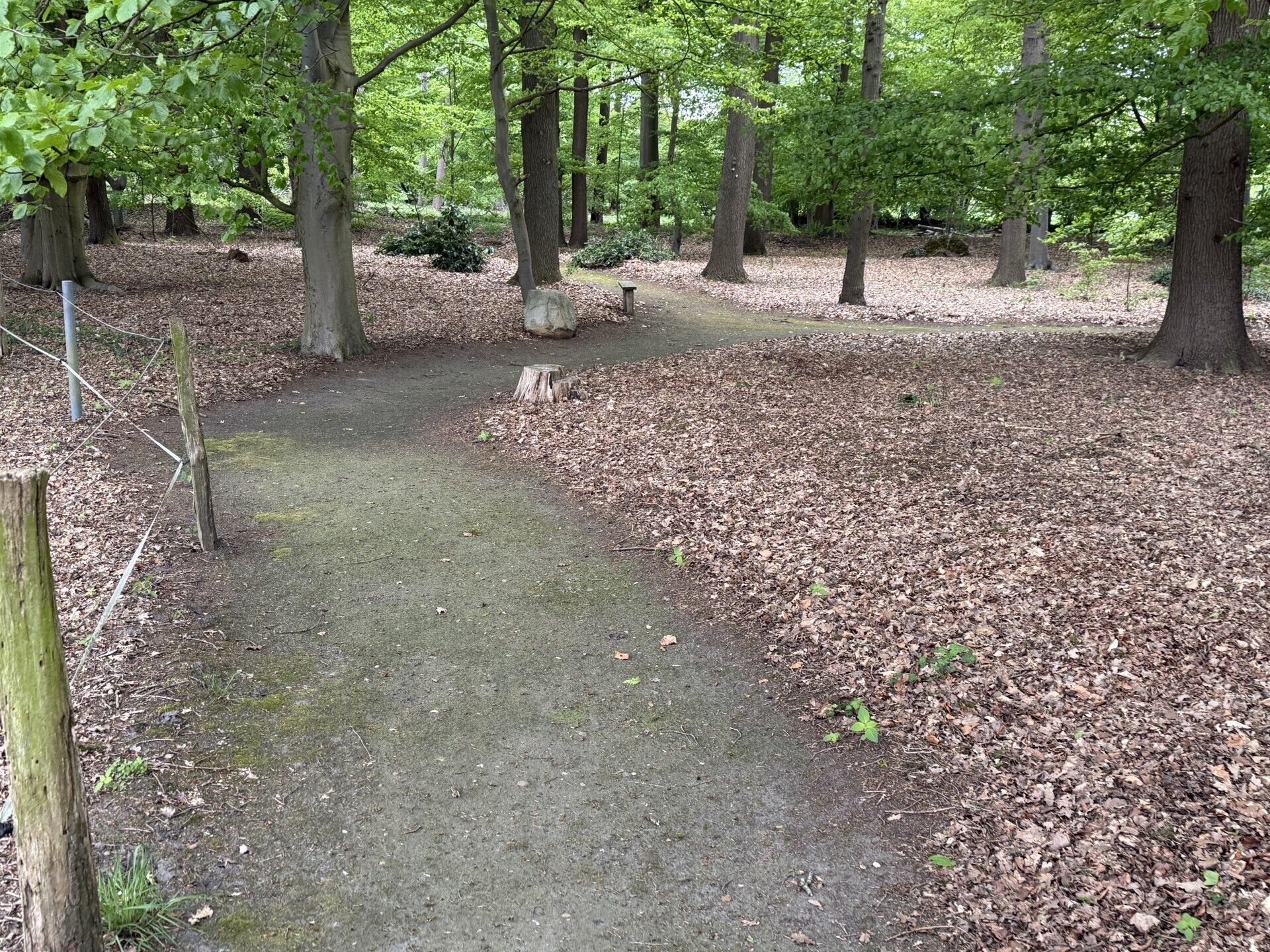 Waldwege