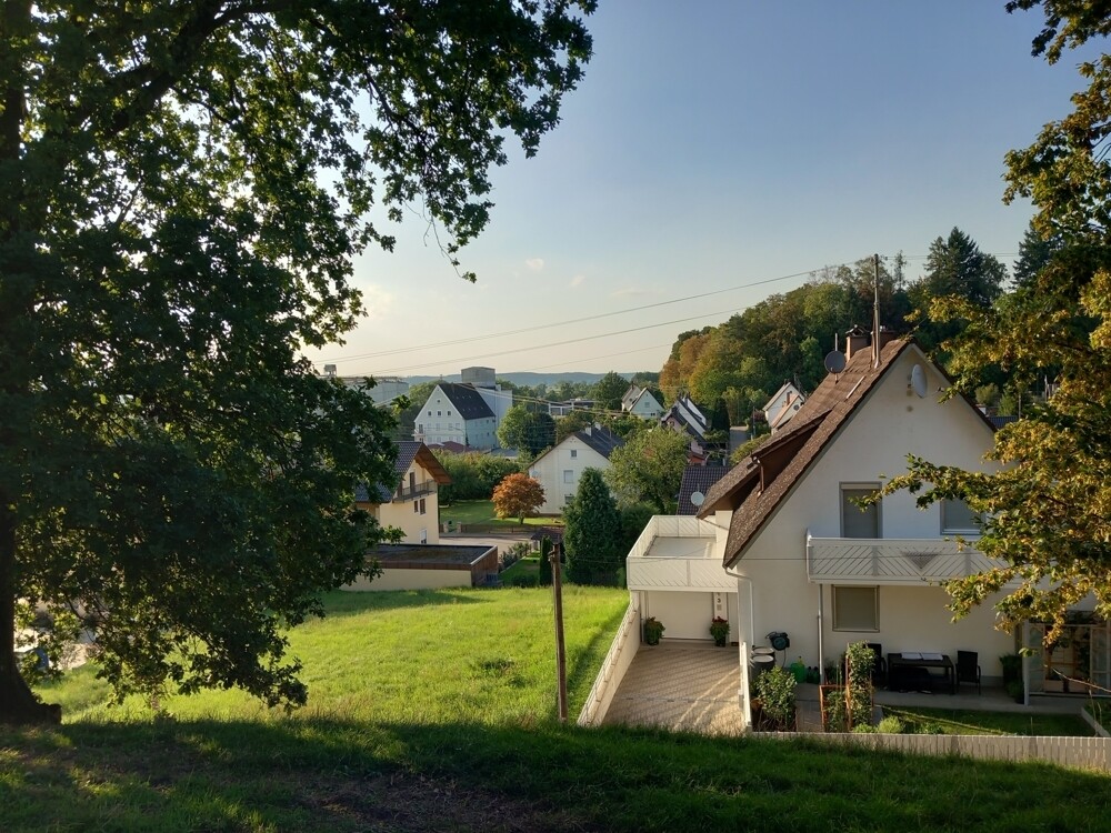 Blick Nord Sommer