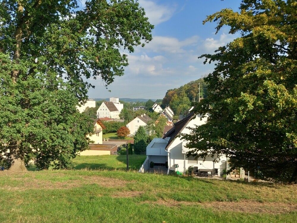 Blick Sommer