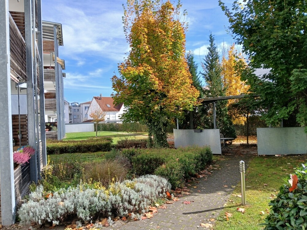 Garten im Herbst