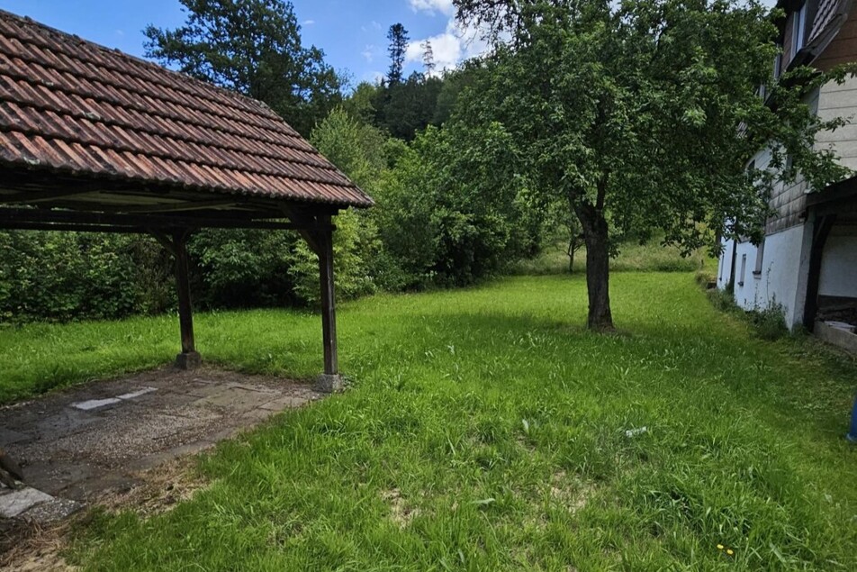 20240612_113706 - Kopie