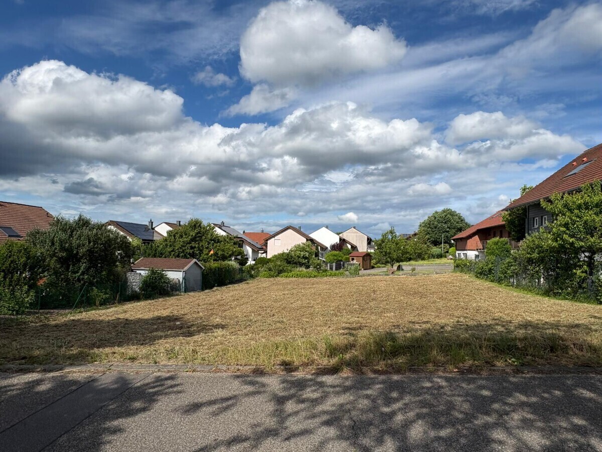 Ansicht von Straße