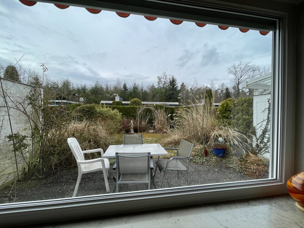 Blick in den Garten