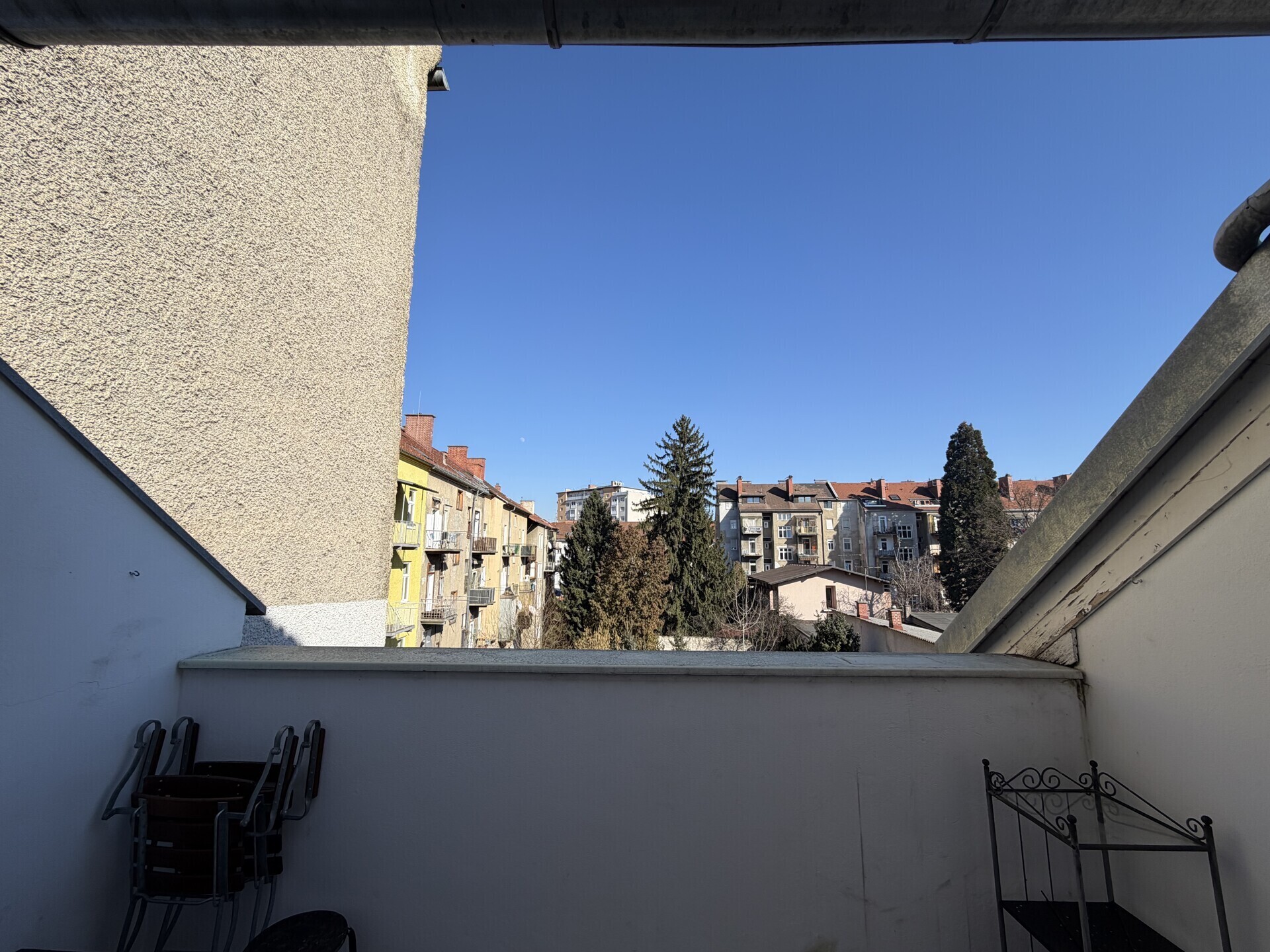 IMG_6732.jpeg